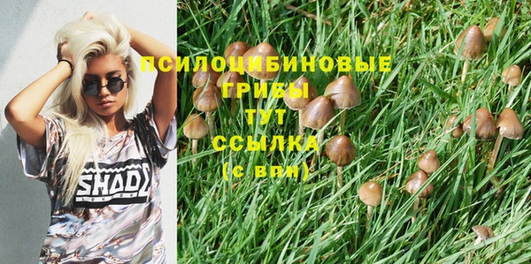 меф Дмитров