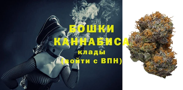крисы Дмитриев