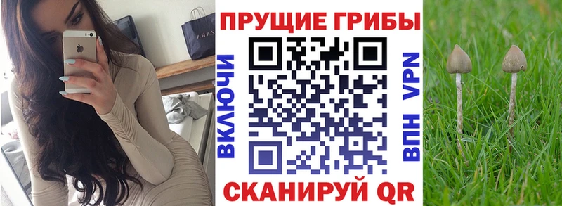 Галлюциногенные грибы GOLDEN TEACHER  Купить  Приволжский 